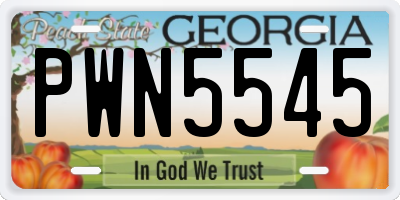 GA license plate PWN5545