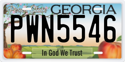GA license plate PWN5546