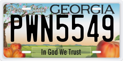 GA license plate PWN5549