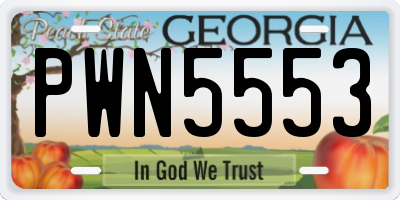GA license plate PWN5553