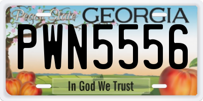 GA license plate PWN5556