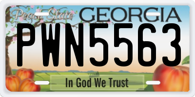 GA license plate PWN5563