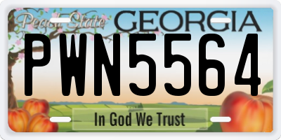 GA license plate PWN5564
