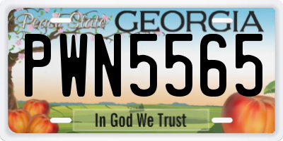 GA license plate PWN5565