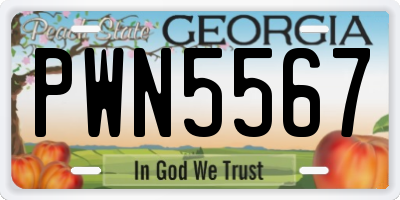 GA license plate PWN5567