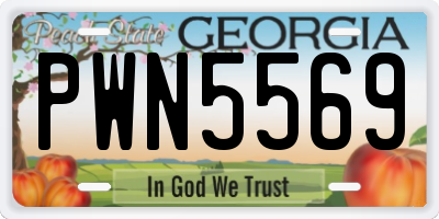 GA license plate PWN5569