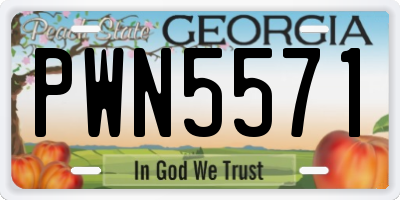 GA license plate PWN5571