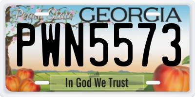 GA license plate PWN5573