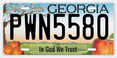 GA license plate PWN5580