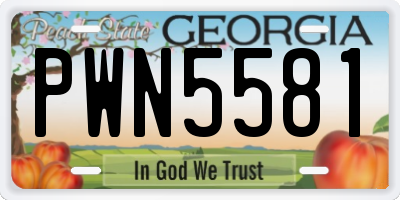 GA license plate PWN5581