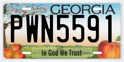GA license plate PWN5591