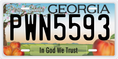 GA license plate PWN5593