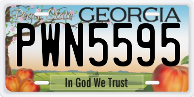 GA license plate PWN5595