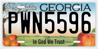 GA license plate PWN5596