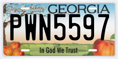 GA license plate PWN5597