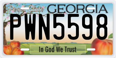GA license plate PWN5598