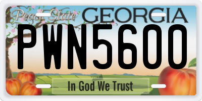 GA license plate PWN5600