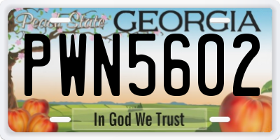 GA license plate PWN5602