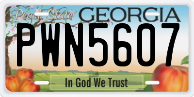 GA license plate PWN5607