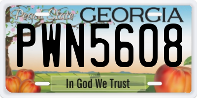GA license plate PWN5608
