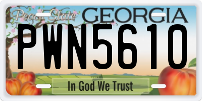GA license plate PWN5610