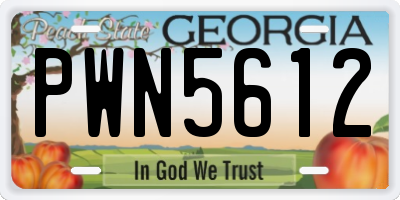 GA license plate PWN5612