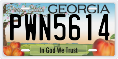 GA license plate PWN5614