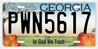GA license plate PWN5617