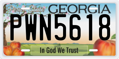 GA license plate PWN5618