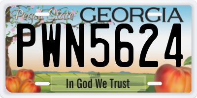 GA license plate PWN5624