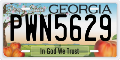 GA license plate PWN5629