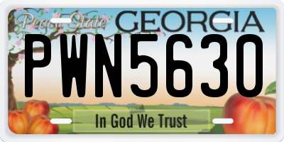 GA license plate PWN5630