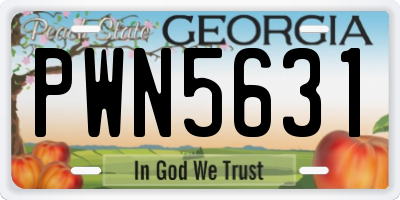 GA license plate PWN5631