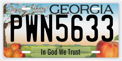 GA license plate PWN5633