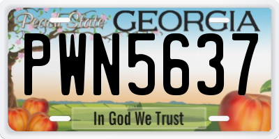 GA license plate PWN5637