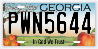 GA license plate PWN5644