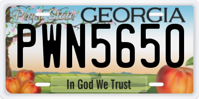 GA license plate PWN5650