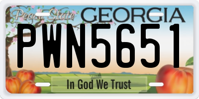 GA license plate PWN5651