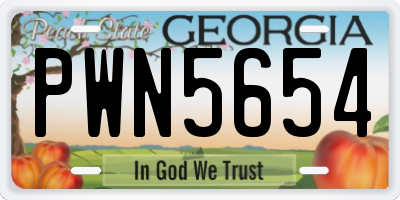 GA license plate PWN5654