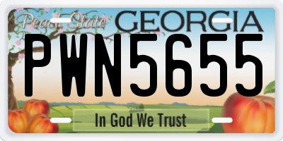 GA license plate PWN5655