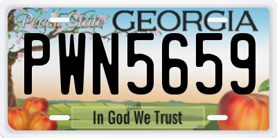 GA license plate PWN5659