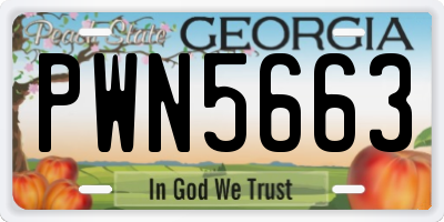 GA license plate PWN5663