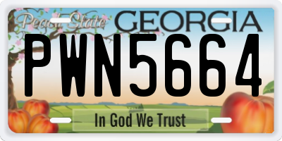 GA license plate PWN5664