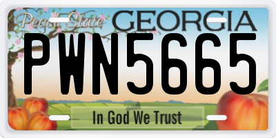 GA license plate PWN5665