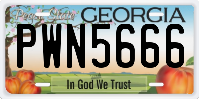 GA license plate PWN5666