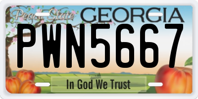 GA license plate PWN5667