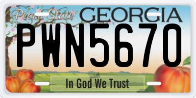 GA license plate PWN5670