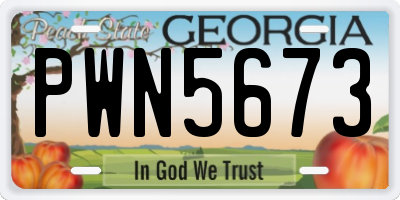 GA license plate PWN5673