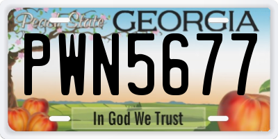 GA license plate PWN5677