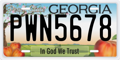 GA license plate PWN5678
